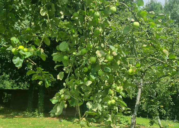 Holiday home La Pomme D'or Maison 8 Personnes